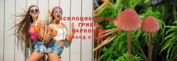 спайс Дмитриев