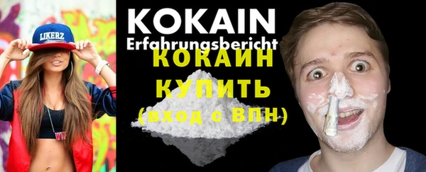 спайс Дмитриев
