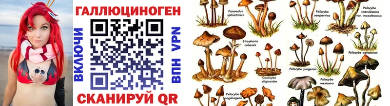 Галлюциногенные грибы прущие грибы  Купить где  Заозёрск 